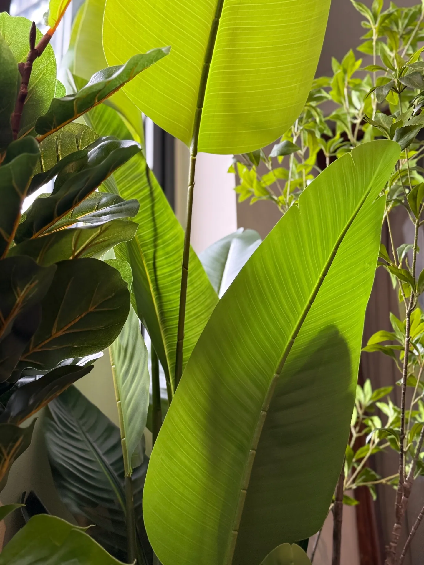 Lush tropical foliage backdrop